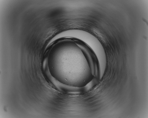 X0000096440362200801311434