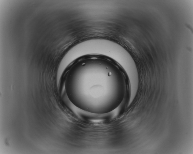 X0000096440364200801311434