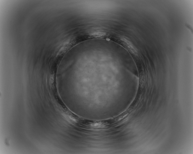 X0000096440365200801311434