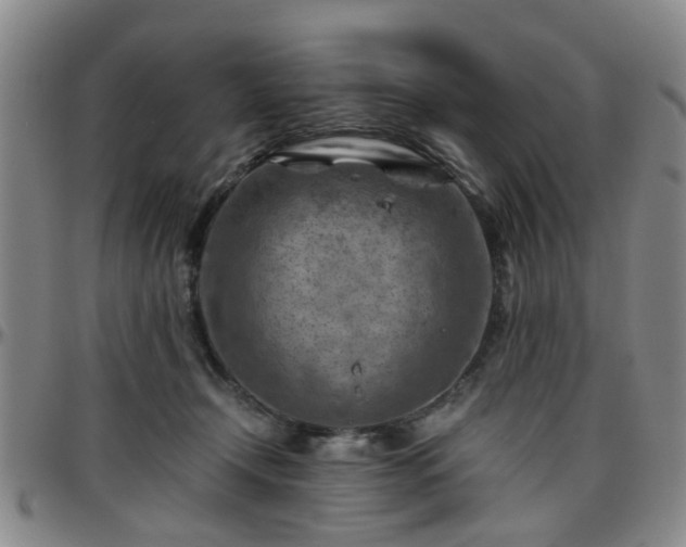 X0000096440366200801311434