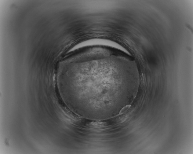 X0000096440367200801311434