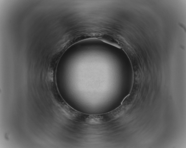 X0000096440368200801311434