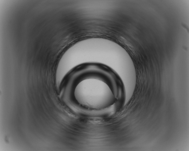 X0000096440370200801311434