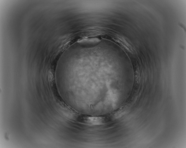 X0000096440371200801311434