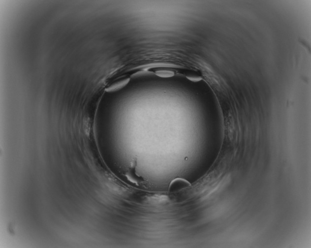 X0000096440374200801311434