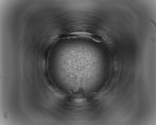 X0000096440375200801311434