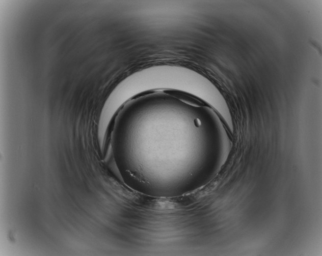 X0000096440376200801311434