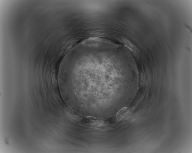 X0000096440377200801311434