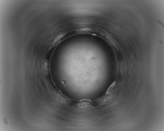 X0000096440378200801311434