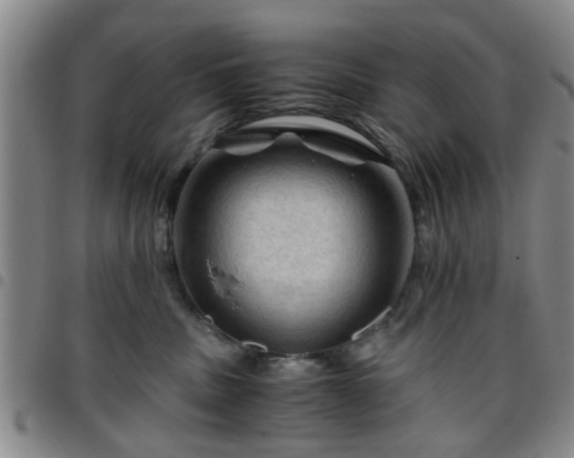 X0000096440379200801311434