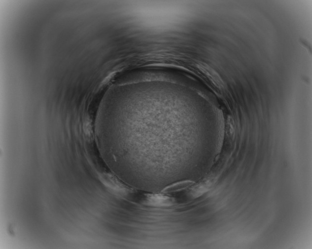 X0000096440380200801311434