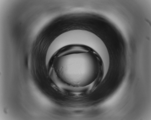 X0000096440382200801311434