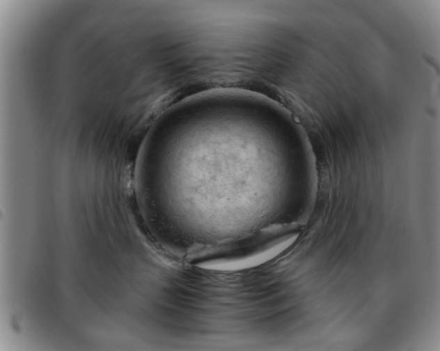 X0000096440383200801311434