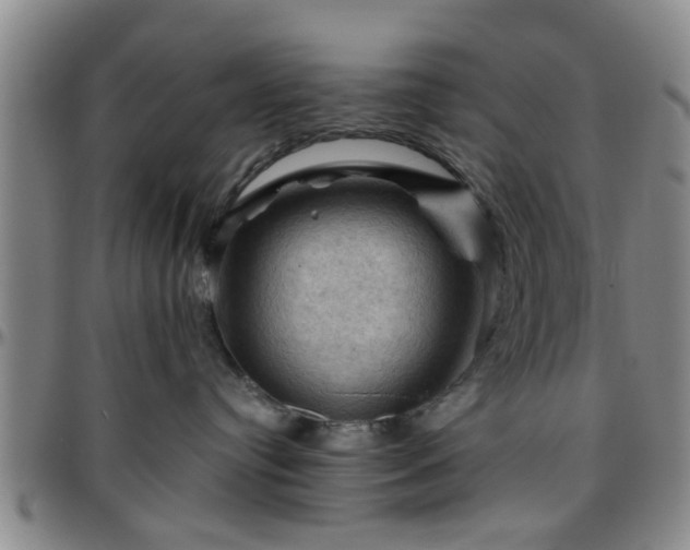 X0000096440384200801311434