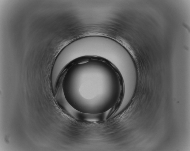 X0000096440385200801311433