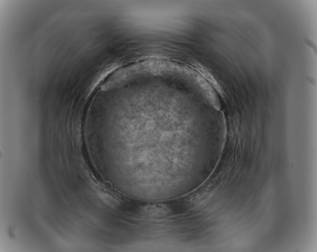 X0000096440386200801311433