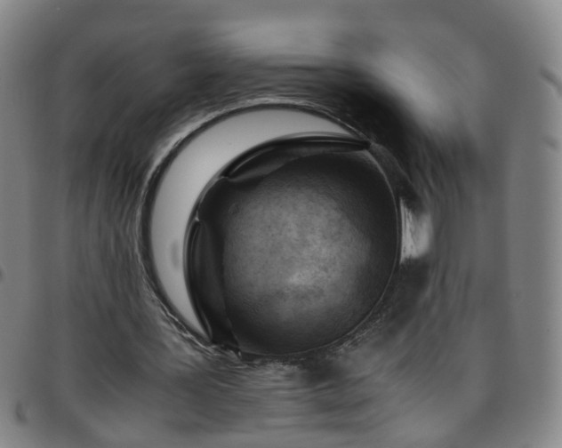 X0000096440387200801311433