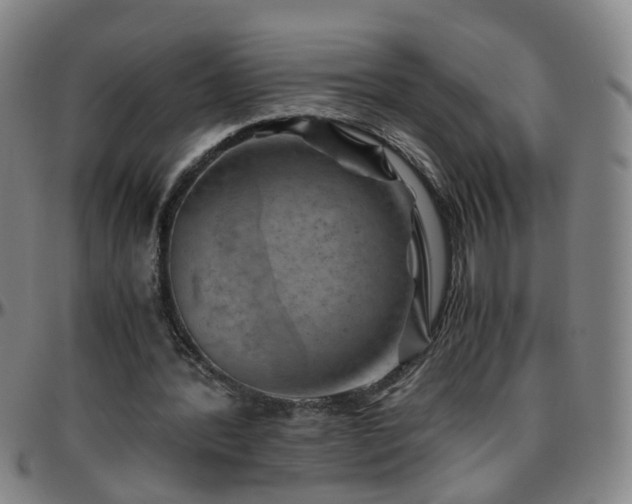 X0000096440388200801311433