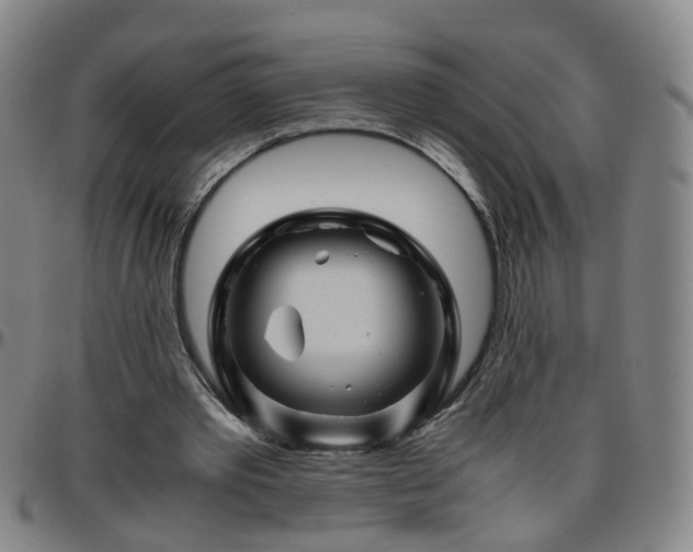 X0000096440389200801311433