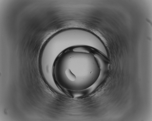 X0000096440391200801311433