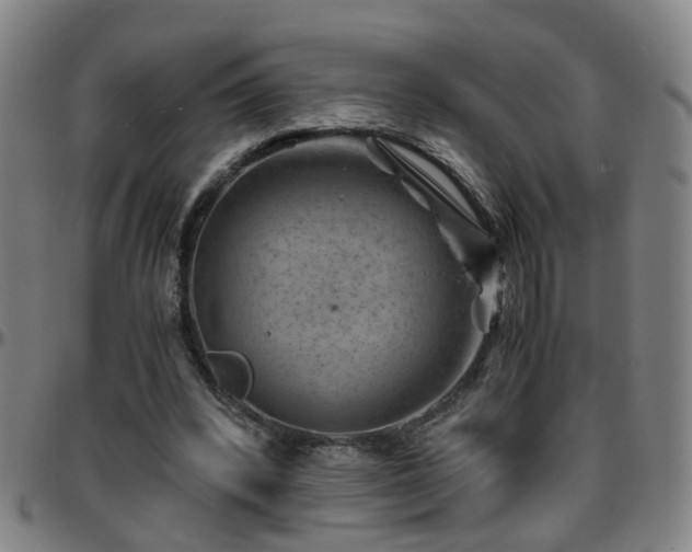 X0000096440392200801311433