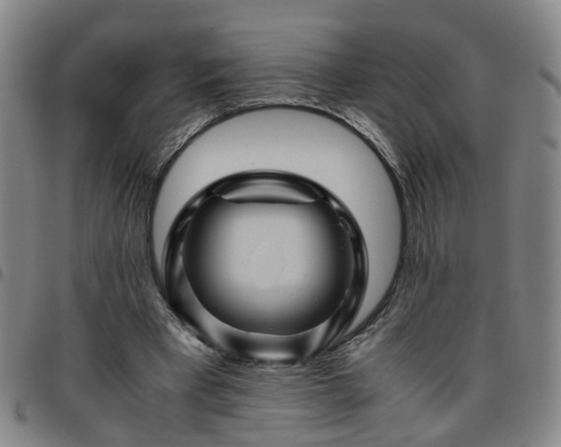 X0000096440393200801311433