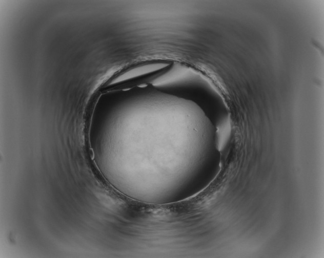 X0000096440395200801311433