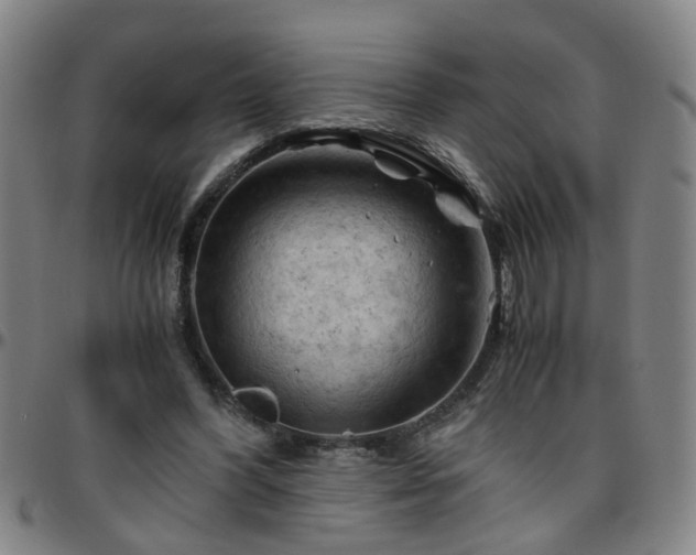 X0000096440396200801311433