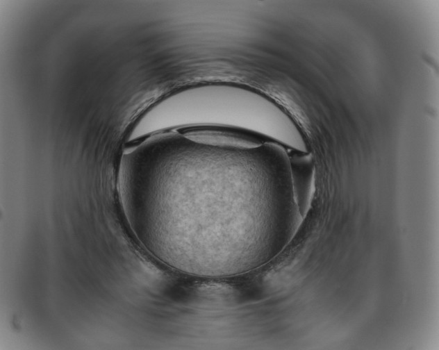 X0000096440397200801311433