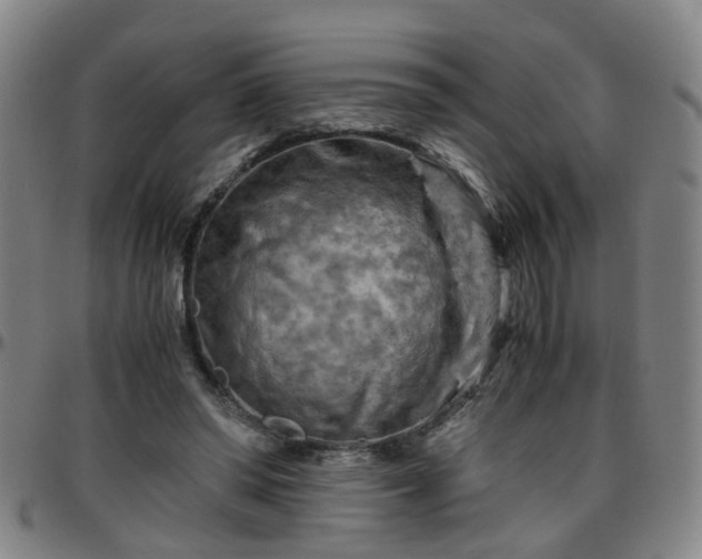 X0000096440398200801311433