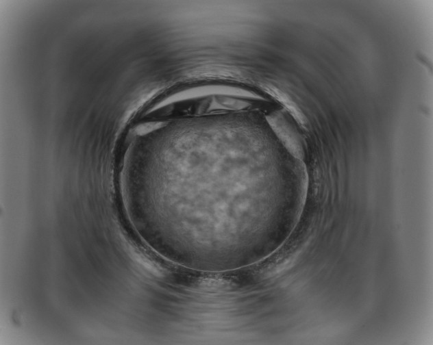 X0000096440399200801311433