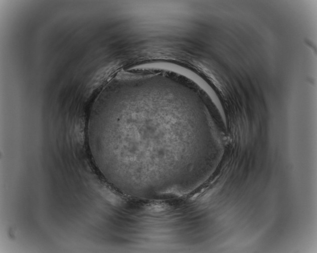 X0000096440402200801311433