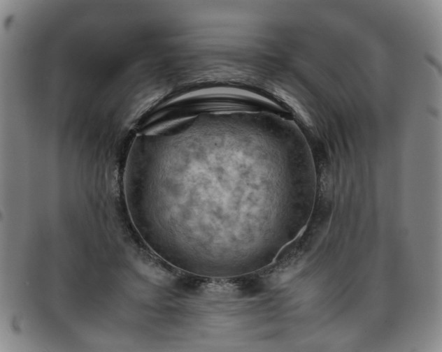 X0000096440403200801311433