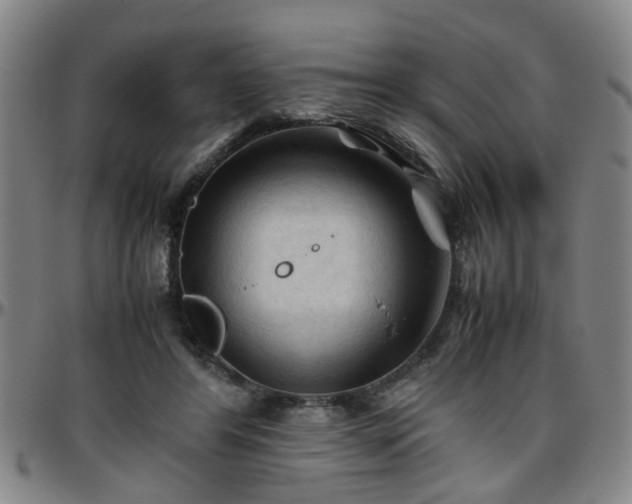 X0000096440404200801311433