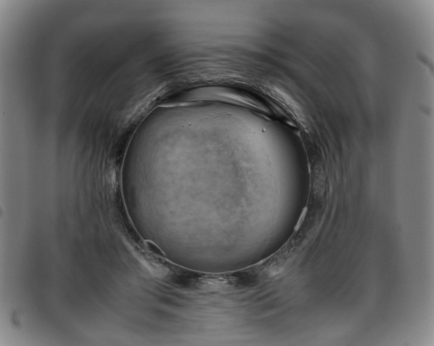 X0000096440405200801311433