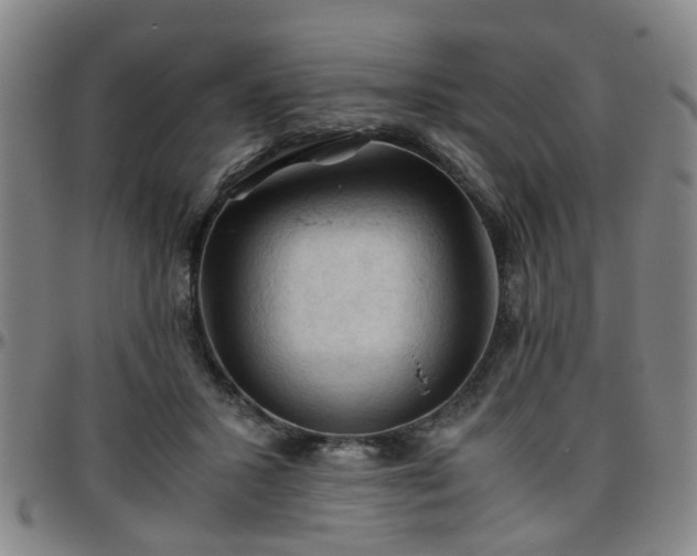 X0000096440407200801311433