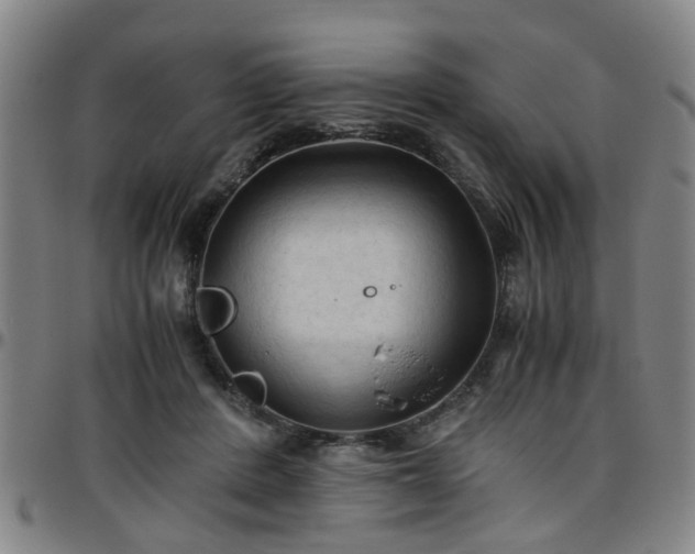 X0000096440408200801311433