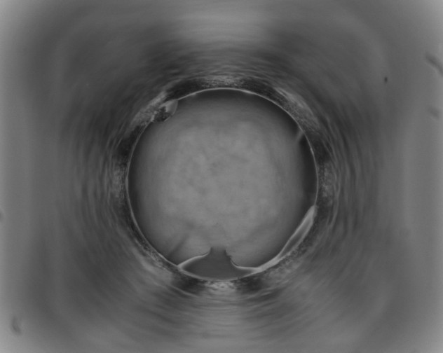 X0000096440409200801311433