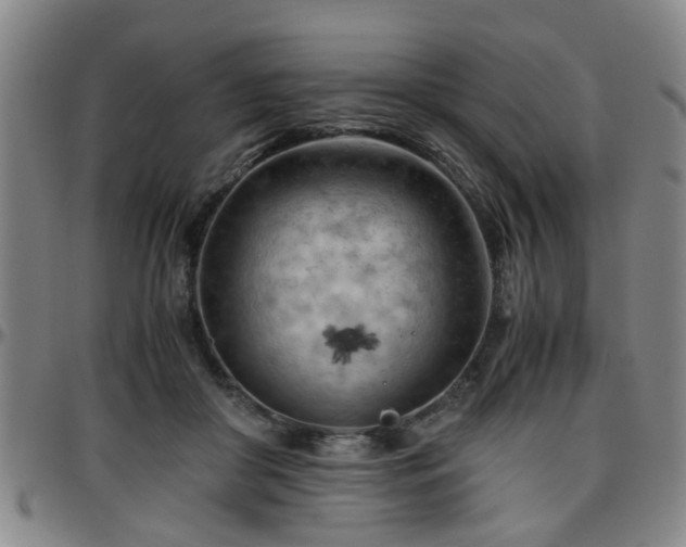 X0000096440410200801311433