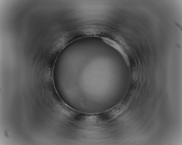 X0000096440411200801311433