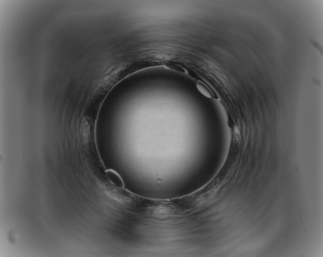 X0000096440412200801311433