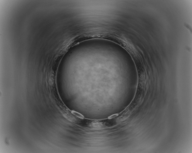 X0000096440413200801311433