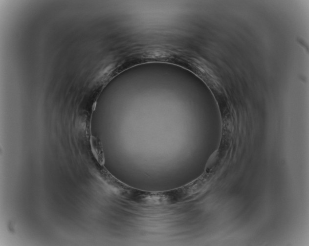 X0000096440415200801311433