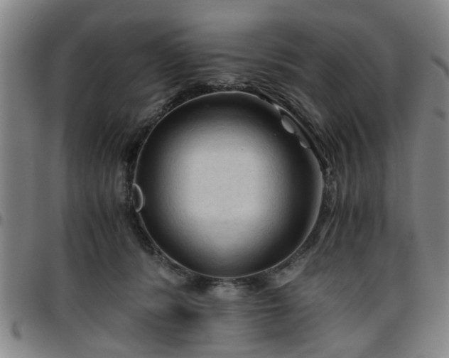 X0000096440416200801311433