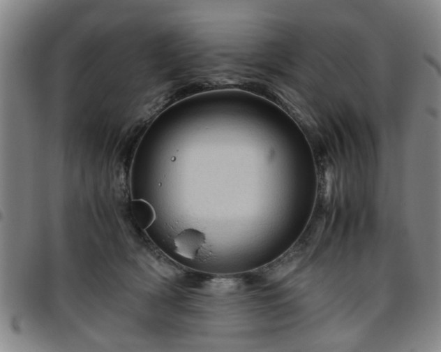 X0000096440418200801311433