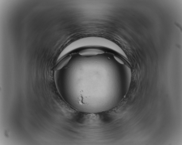 X0000096440421200801311433