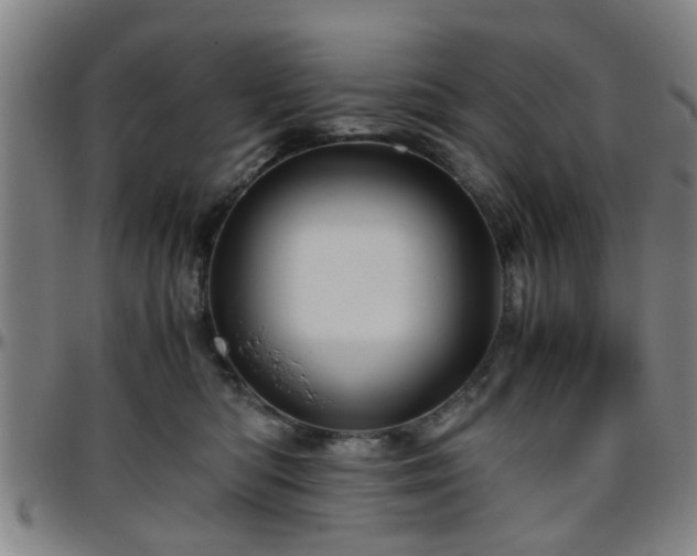 X0000096440422200801311433