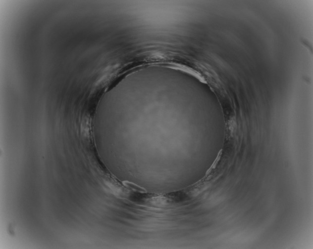 X0000096440423200801311433