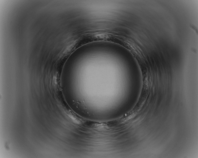 X0000096440424200801311433