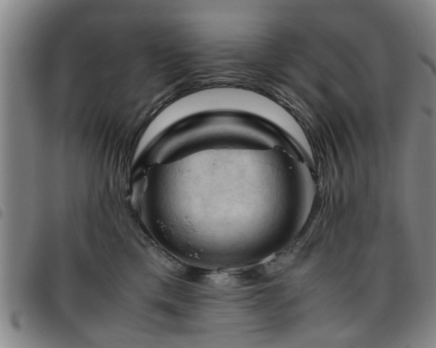 X0000096440425200801311433